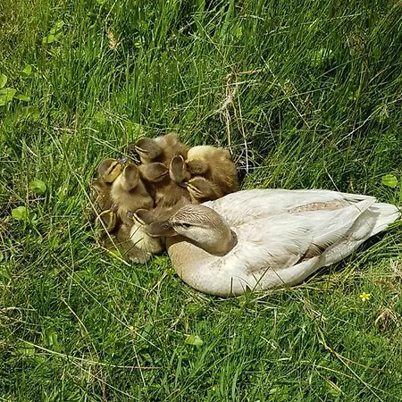 Lieux-au-lac * Augignac