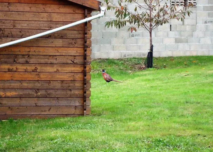 Lieux-au-lac Prázdninový dům